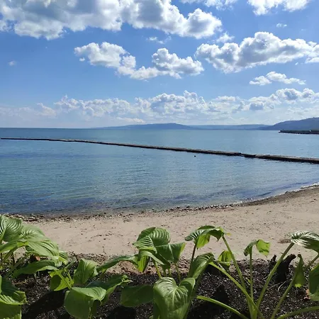 Oasis - Access 3* Balcic