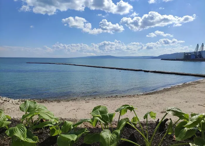 Oasis - Access 3* بالشيك