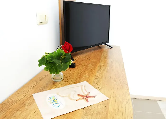 Oasis - Access 3* بالشيك